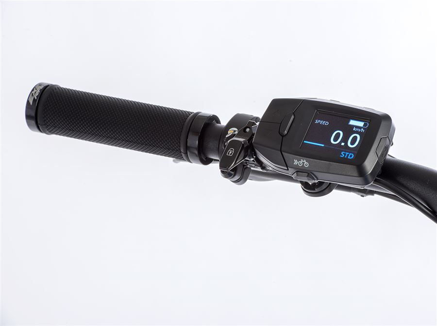 Leader Fox Orton 29" modrý 