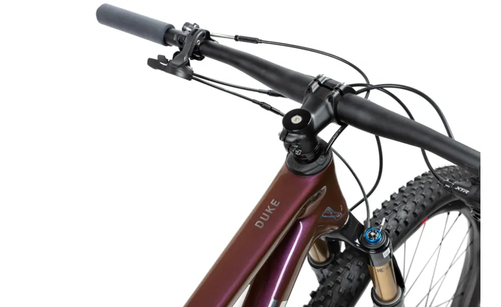 PELLS Duke FS Ultimate Eggplant