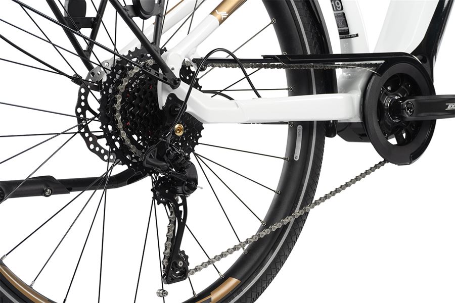 Leader Fox LUCAS biely