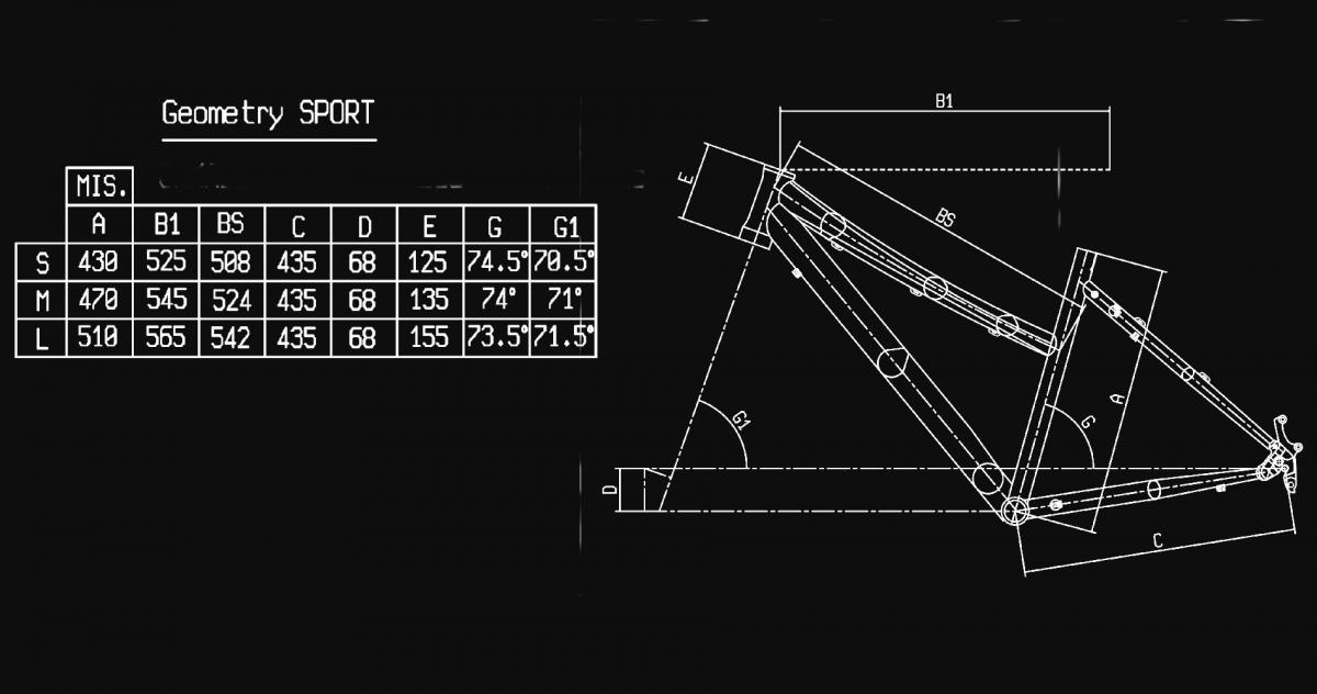 Bianchi C-Sport 2 Dama Acera 24sp Disc Čierny