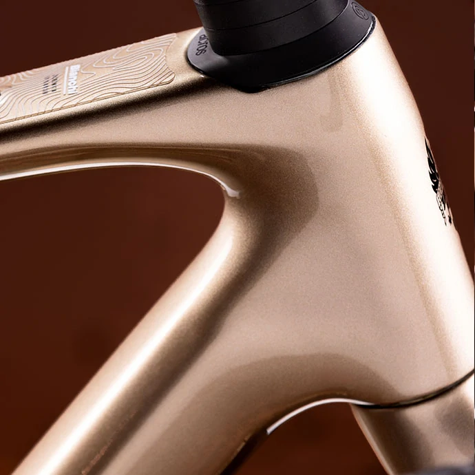 BIANCHI ARCADEX COMP APEX 1X12SP Zlatý