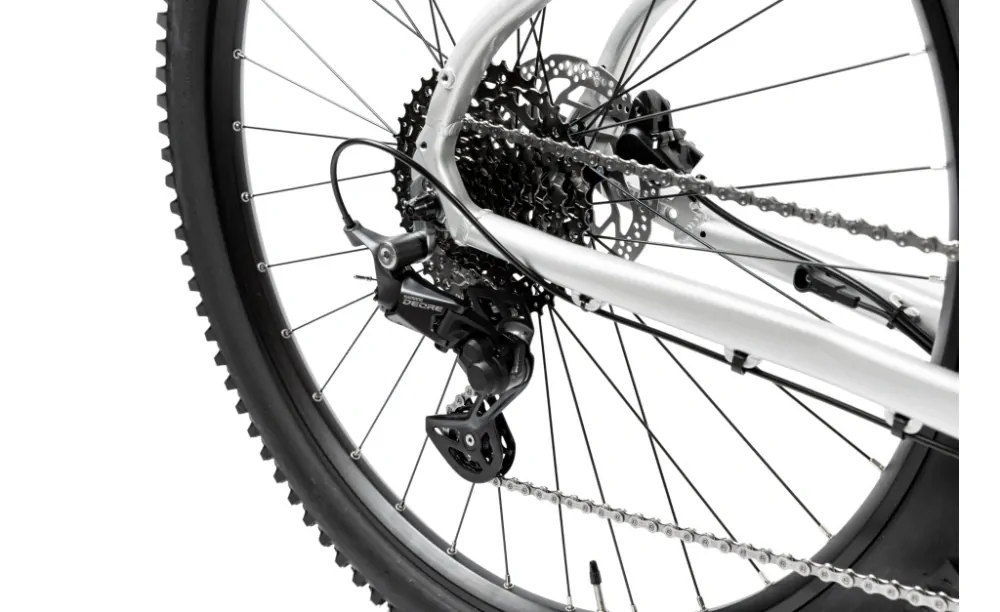 Pells Thorr 1 29" strieborný