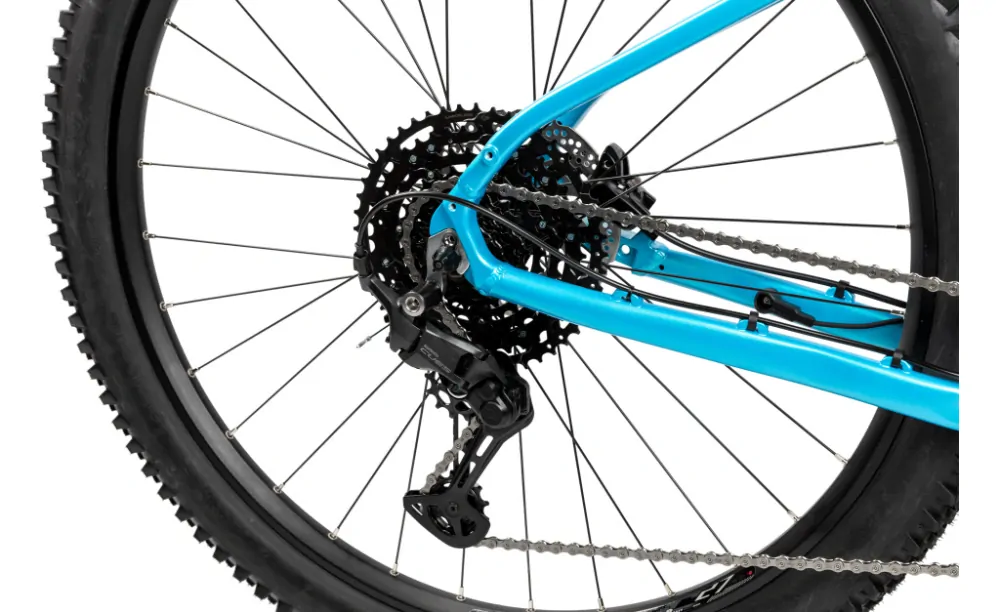 Pells Thorr 2 29" glossy aqua