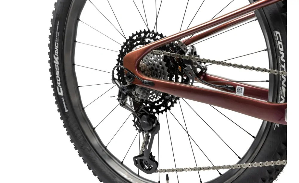 PELLS Duke FS Ultimate Eggplant