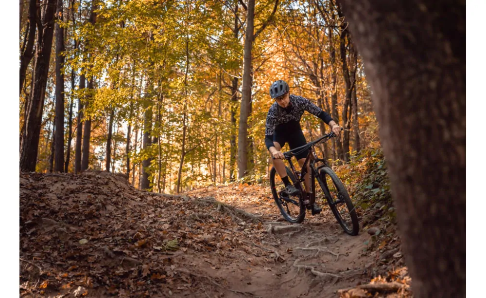 PELLS Duke FS Ultimate Eggplant