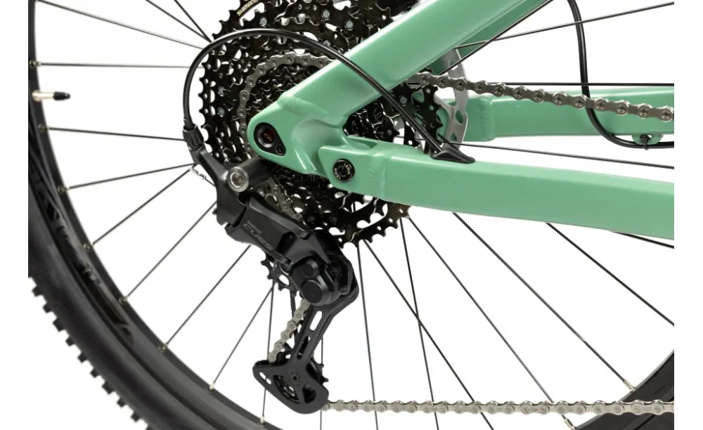 PELLS Tarpan AM 3 Moss Green