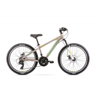 ROMET Rambler Dirt 24, sivo/zelený