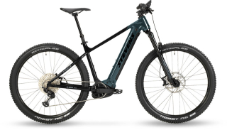 STEVENS E-AGNELLO 29"